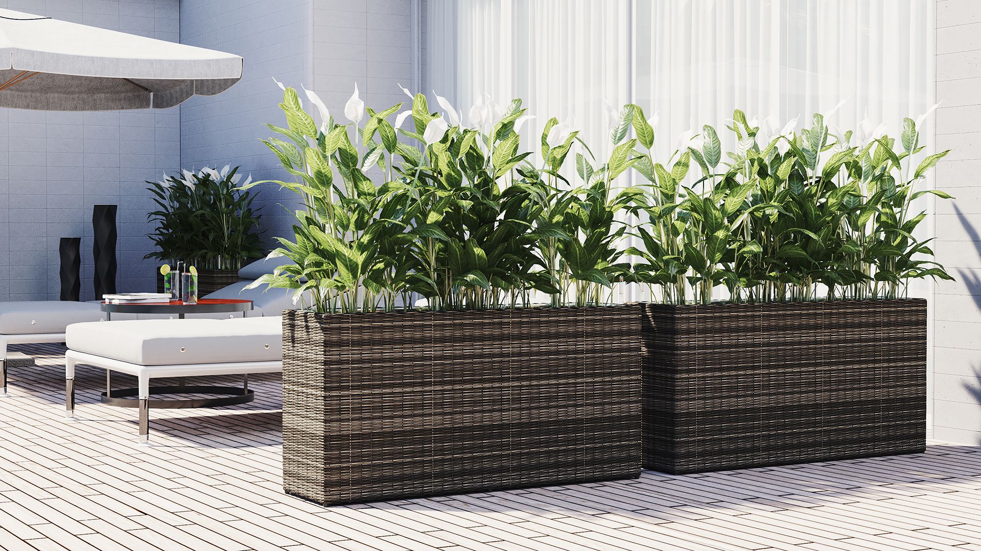 Rattan Flower Pot Nathy M